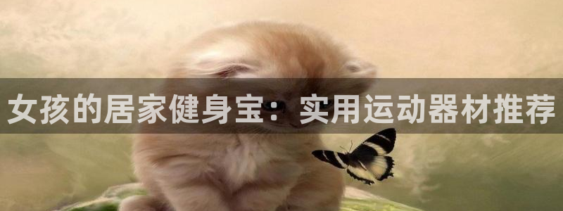 678体育官网下载平台注册：女孩的居家健身宝：实用运