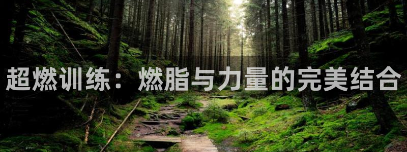 678体育官网下载：超燃训练：燃脂与力量的完美结合