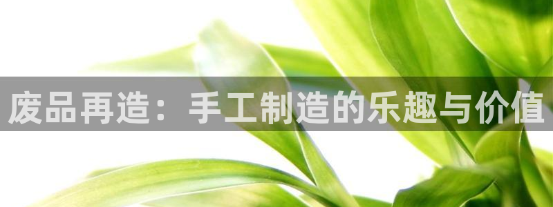 678体育官网下载软件：废品再造：手工制造的乐趣与价值