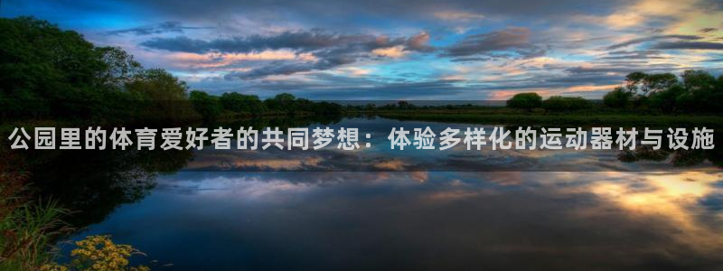 678体育官网下载娱乐：公园里的体育爱好者的共同梦想：体验多