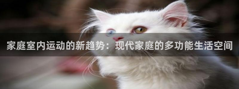 678体育官方正版app科技：家庭室内运动的新趋势：