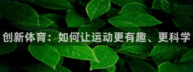 注册678体育官方正版app：创新体育：如何让运动更有趣、更