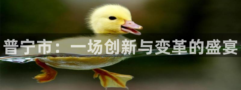 678体育官方正版app官网：普宁市：一场创新与变革的盛宴