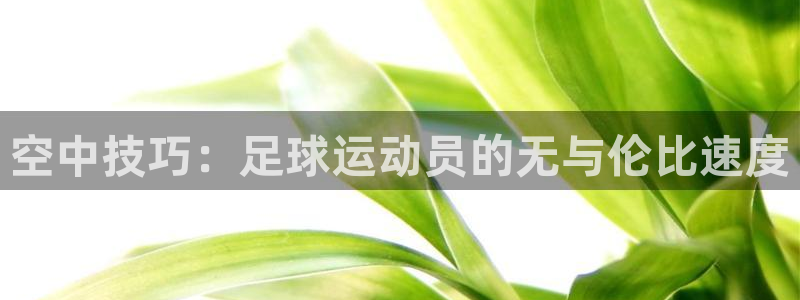 球速体育