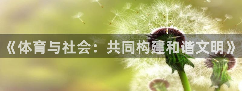 球速体育