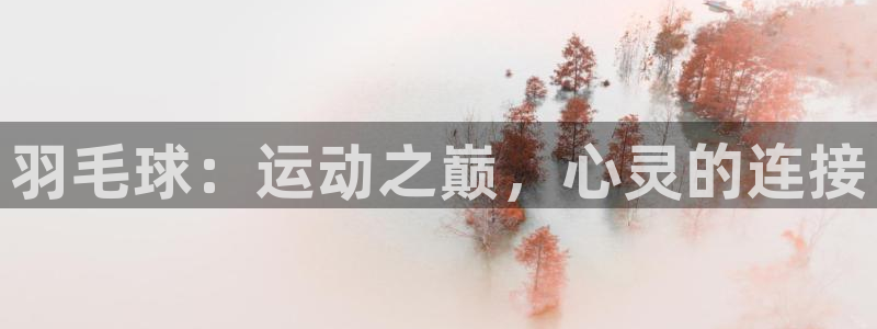 球速体育