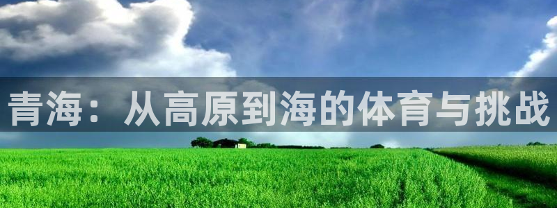 球速体育