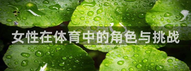 球速体育