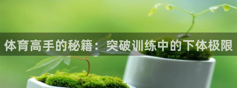 球速体育