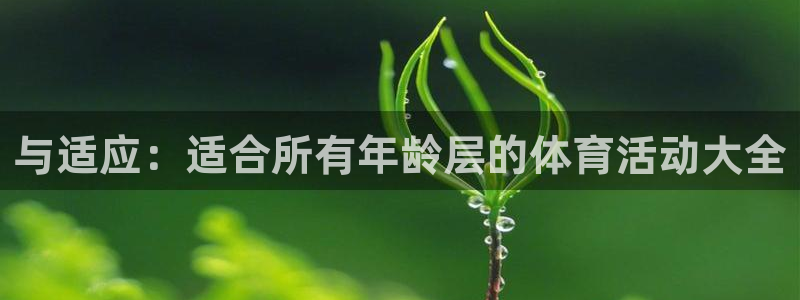 球速体育