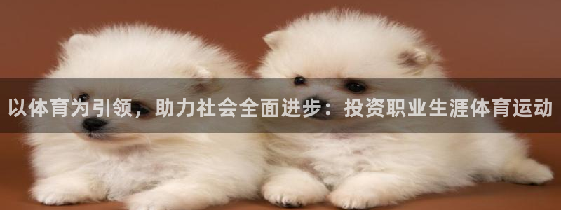 球速体育