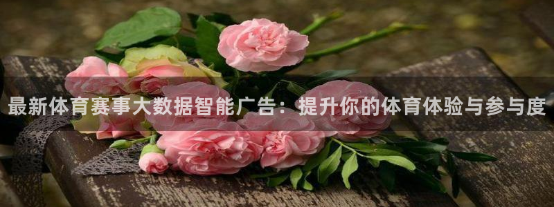 球速体育