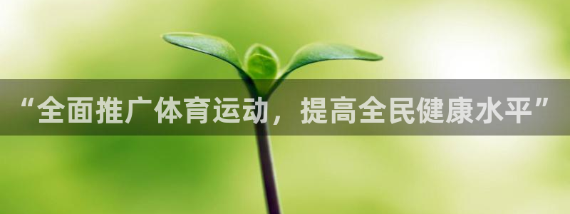 球速体育