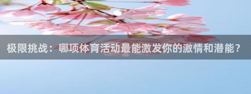 球速体育