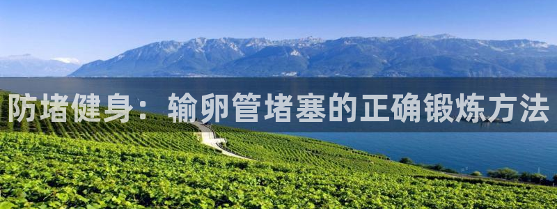 球速体育
