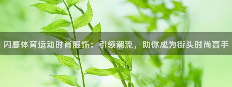 球速体育