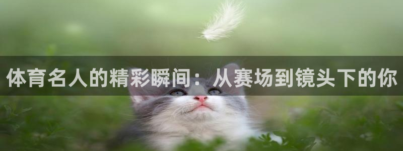 球速体育