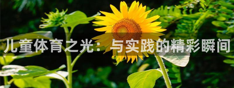 球速体育