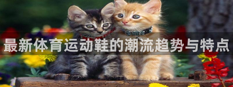 球速体育