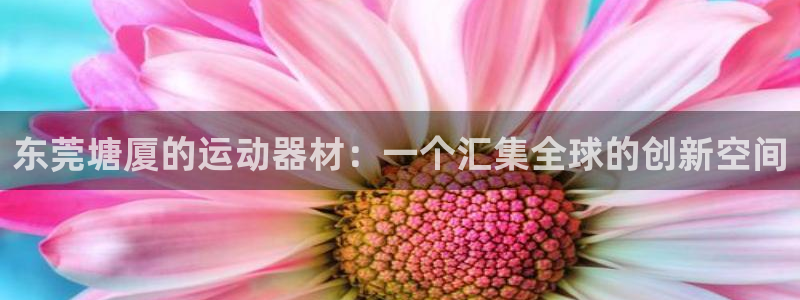 678体育官网下载平台注册要钱吗：东莞塘厦的运动器材