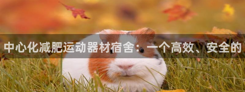 678体育官方正版app五金厂:中心化减肥运动器材宿舍:一个